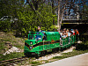 austin-downtown > Miniature train in Zilker park, Austin, Texas