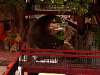 austin-downtown > Bridge on the Canal, Sixth Street, Austin Texas