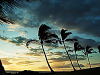 big-island-hawaii > palmtrees sunset waikoloa beach golf ocean