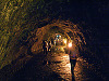 big-island-hawaii > Grotto of the Thurston lava tube, on Big Island Hawaii