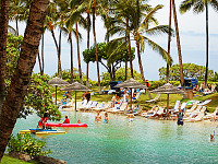 big-island-hawaii > blue lagoon swimmers hilton palmtrees scenery