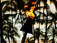 big-island-hawaii > dancing flame torch sunset palmtrees close up waikoloa