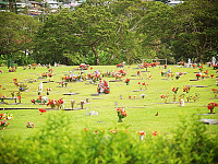 big-island-hawaii > hilo cemetery grass flowers