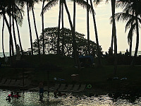 big-island-hawaii > laguna beach hilton waikoloa sunset
