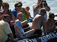big-island-hawaii > Tourists in a zodiac on dolphin watch