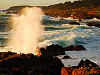carmel-monterey > Geyser at Point Lobos, California