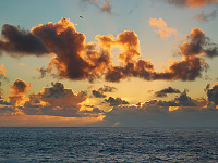 carmel-monterey > Serenity, sunset at Point Lobos