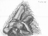 drawing-painting-traditional > Woman nude from top