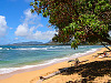 kauai-hawaii > beach kauai coastline trees