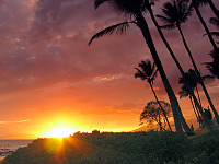 maui-hawaii > Paradise sunset on the island of Maui, Hawaii