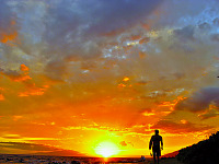 maui-hawaii > Sunset surfer at the Maui Hawaii beach
