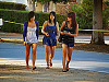 san-jose-state > Three cute fashionable girls walking on San Jose Campus